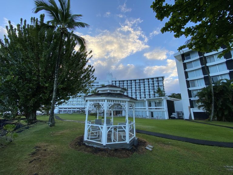 庭にはチャペルをイメージするゲージがありました