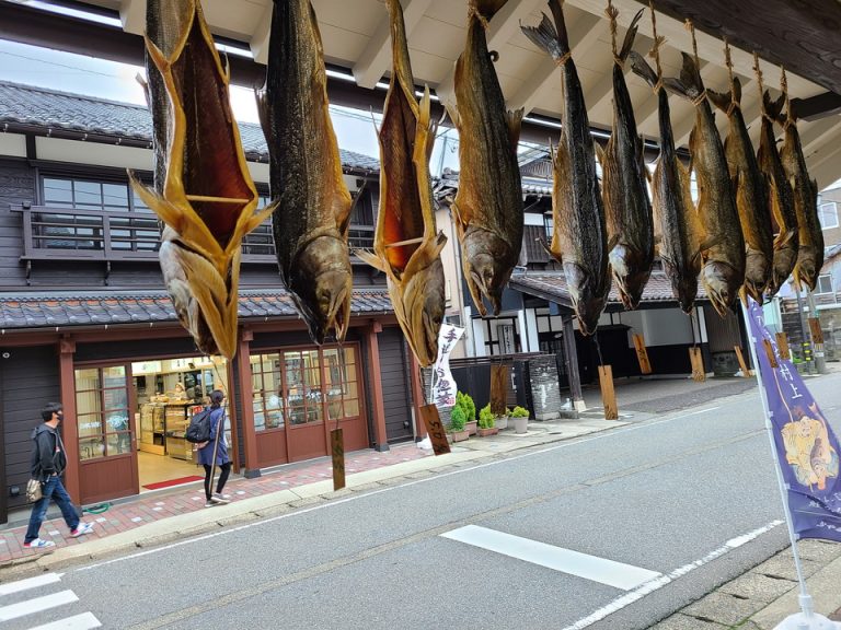 観光スポット(3)