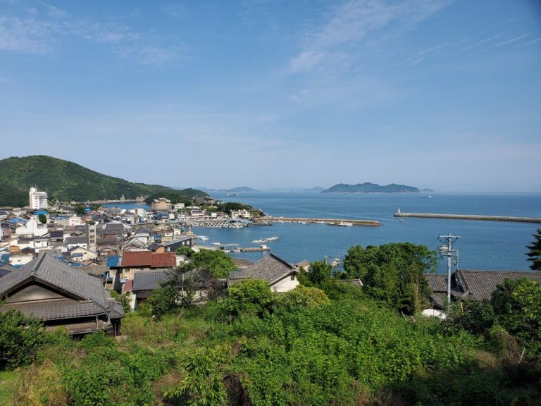 医王寺からの眺め