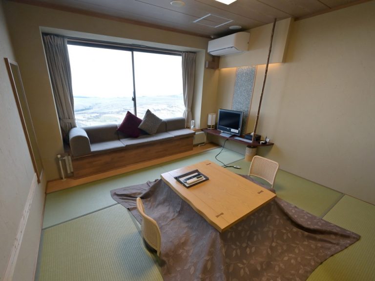 客室全体(窓際方向)