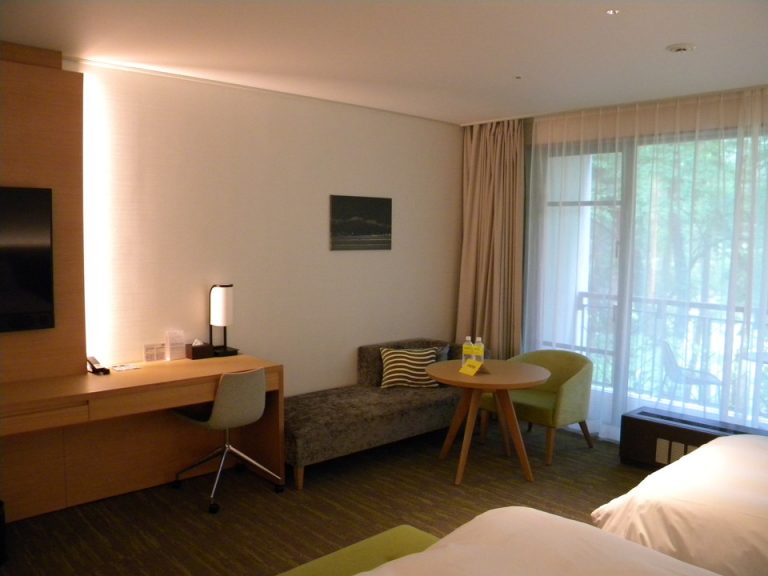 客室全体(窓際方向)2