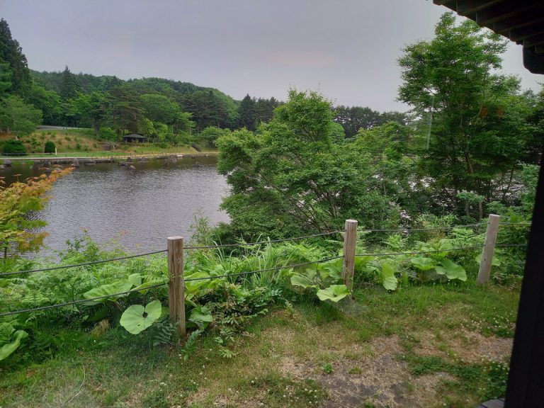 20210617_夕飯、大きな池が見える