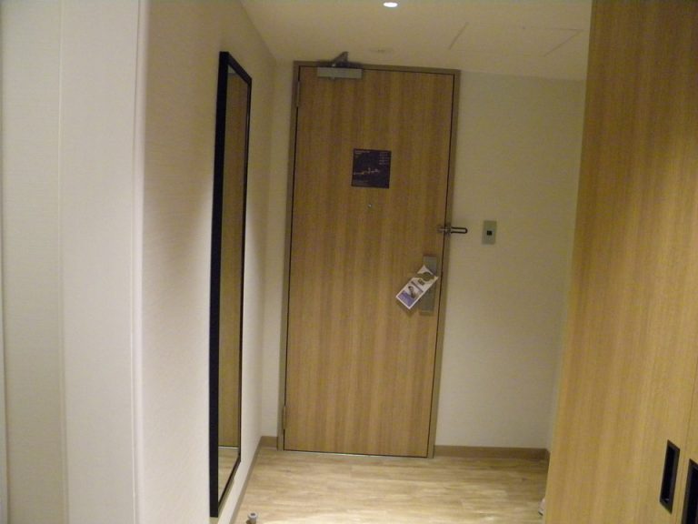 客室入口内観ドア2