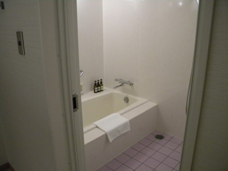 バスルーム入り口から全景