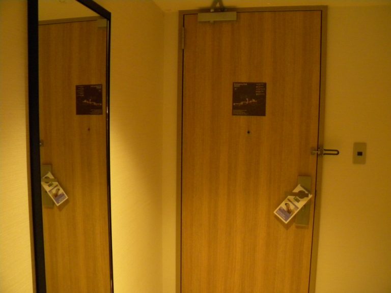客室入口内観ドア1