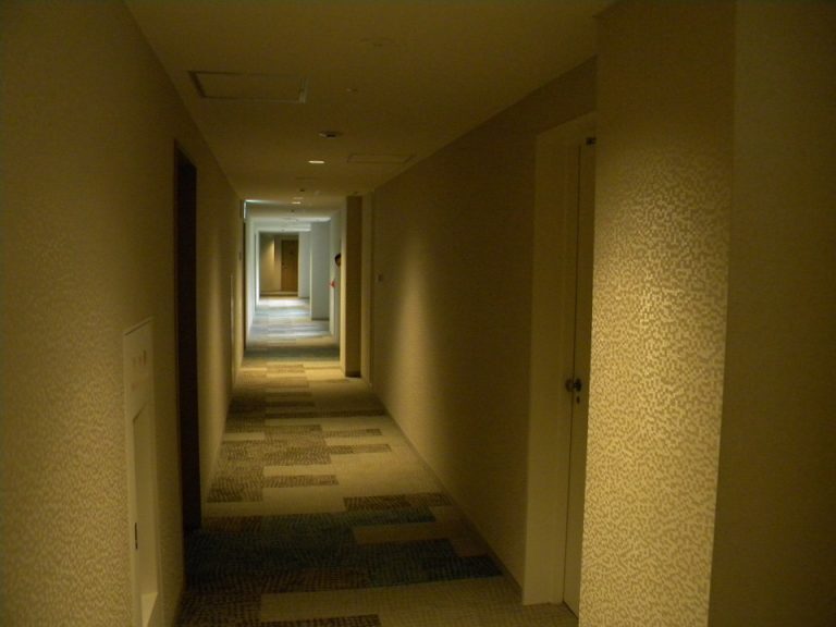 客室入口付近廊下