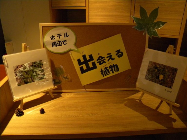 リゾートセンター周辺植物案内