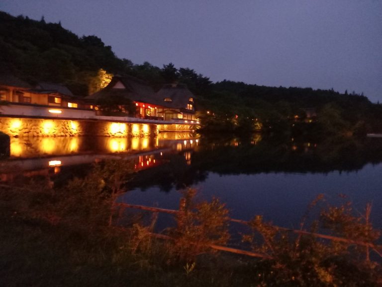 20210617_夕飯後池の周りを散策