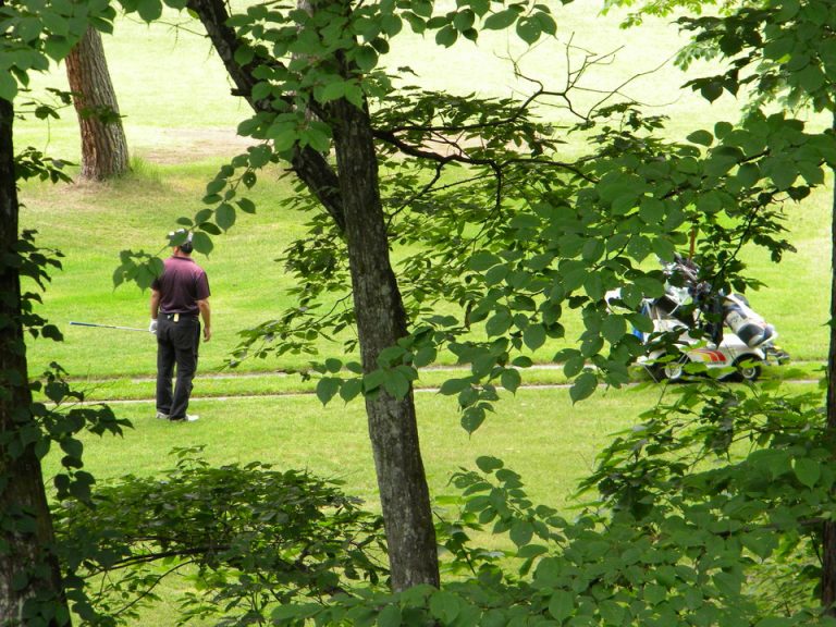 部屋からの眺望、ゴルファーの姿