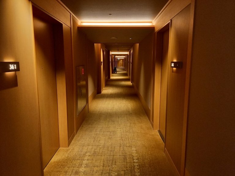 客室入口付近廊下(2)