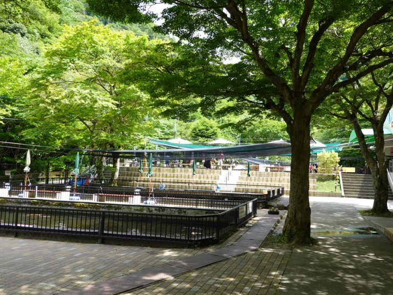 有馬ます池全体(1)