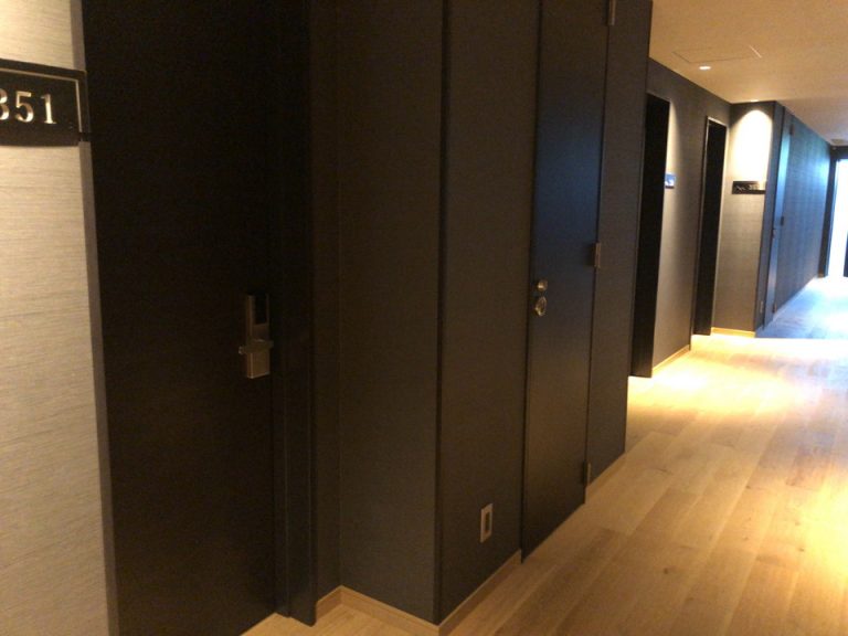 客室入り口付近廊下