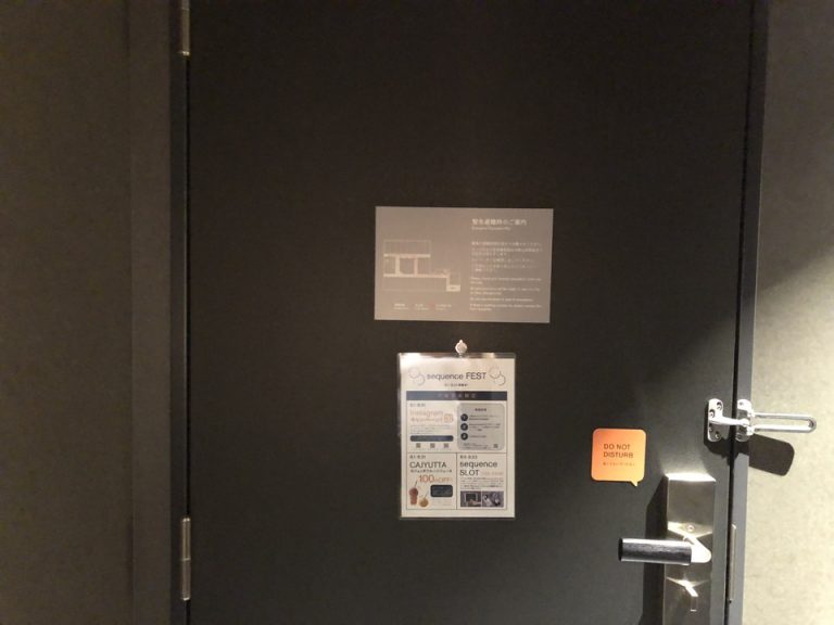 客室入口内観ドア2