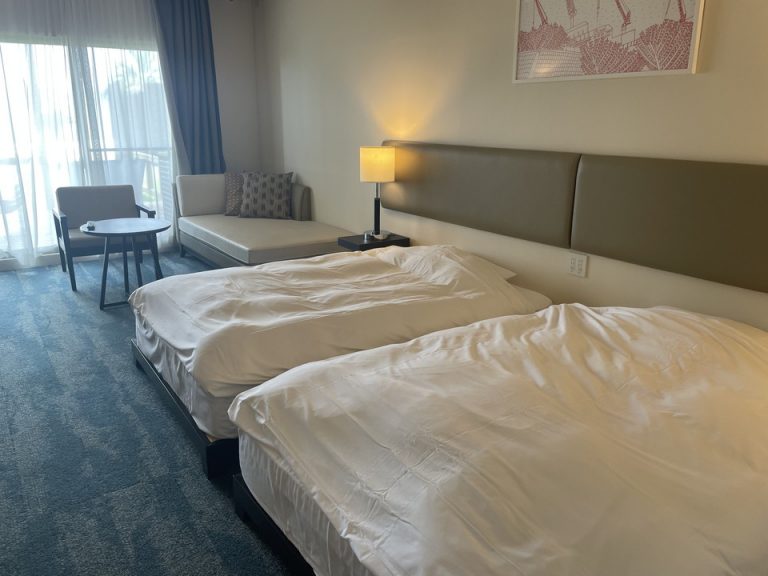 入り口から見た客室