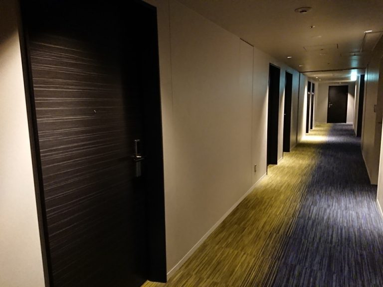 客室入口付近廊下