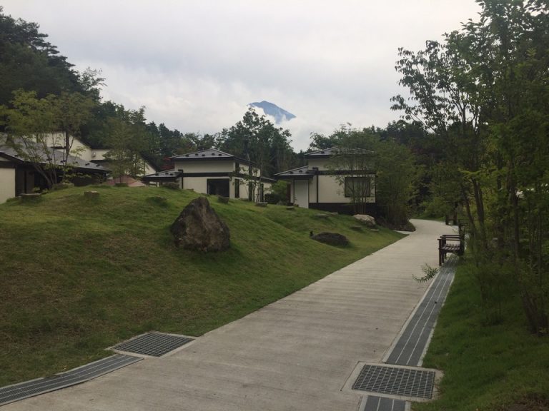 晴れていれば富士山が見れるます