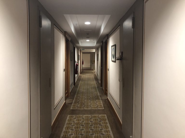 客室入り口付近廊下