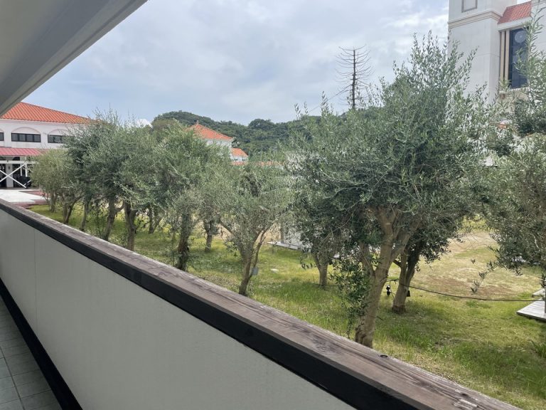 廊下からは庭が望める