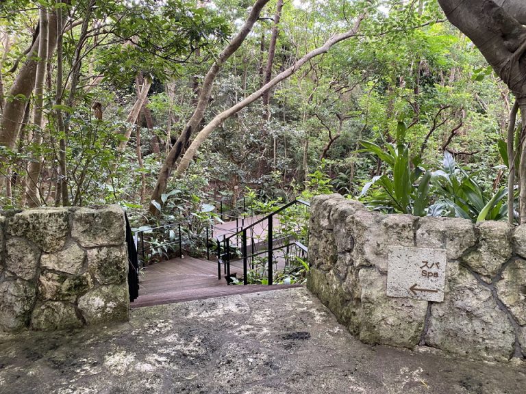 トンネルを抜けて、スパ棟に向けて森の中の道を進みます。