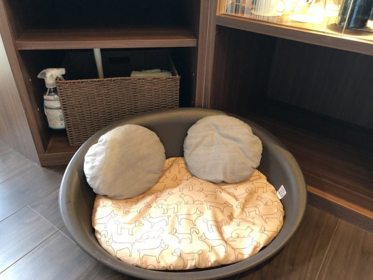 15-11 TV下にペット用小物が設置されています。ペットソファです。小型犬用