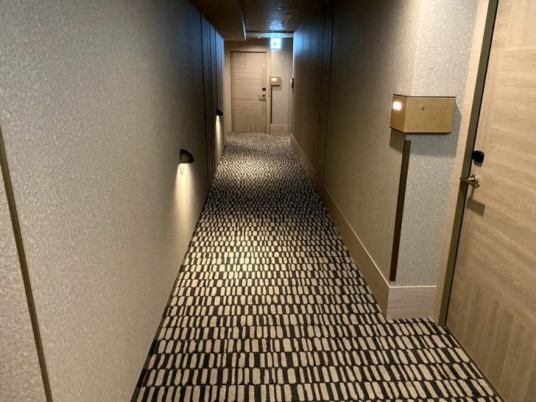客室入口付近廊下