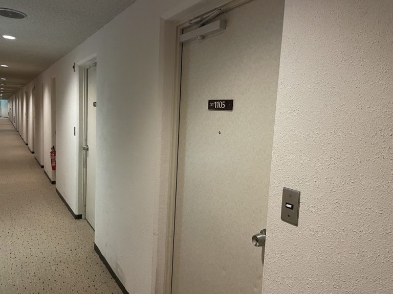 客室入口付近廊下