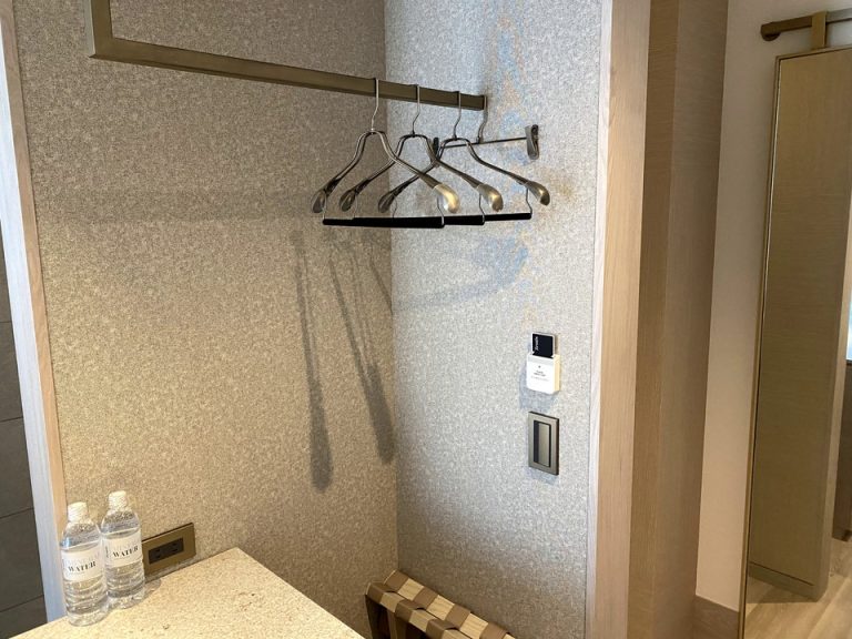 クローゼット外観(開けた状態)1