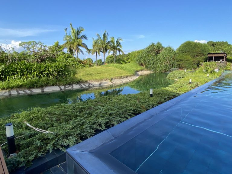 プールの端に植えられた植物から、針葉樹のいい香り漂ってきます。