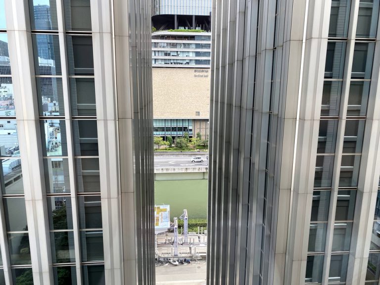 客室からの眺め