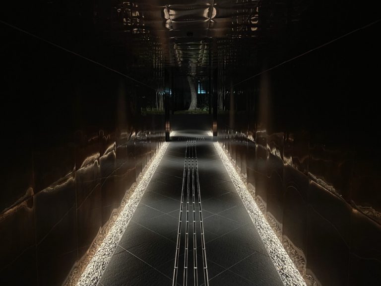 エントランス内観(入り口から見た一本松)