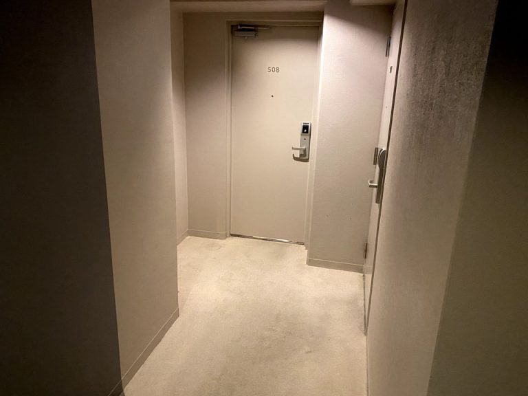 客室入口付近廊下