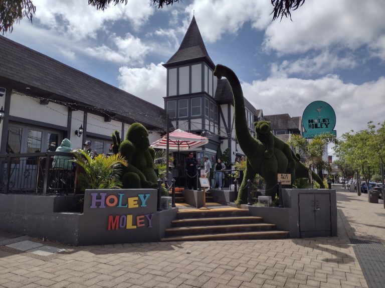 IMG_20211003_132026091_HDR