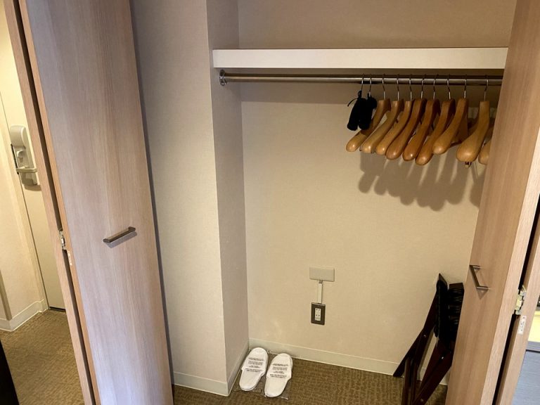 クローゼット外観1(開けた状態)