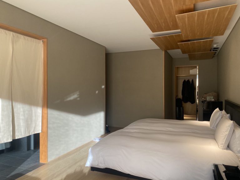 客室全体(入口方向)
