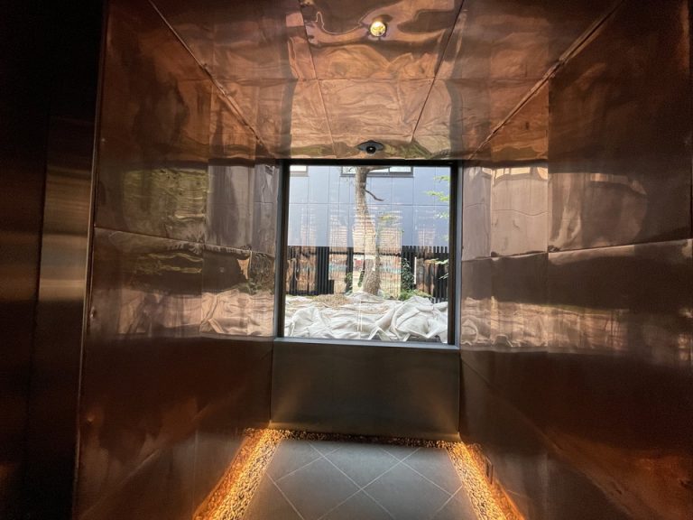 エントランス廊下と一本松