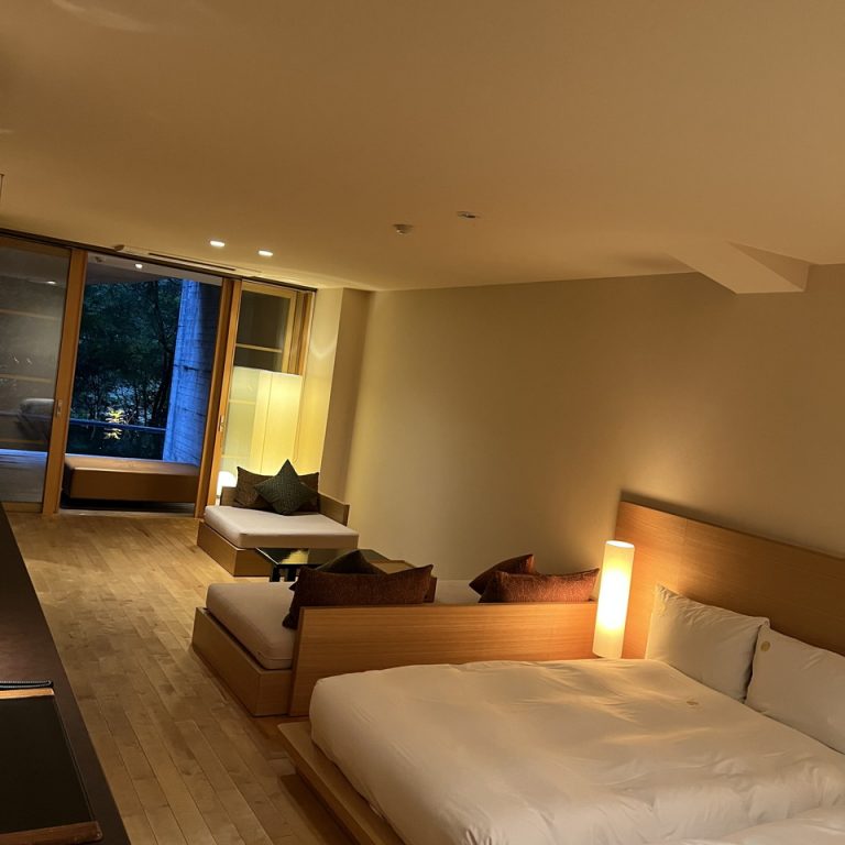 客室全体(窓際方向)