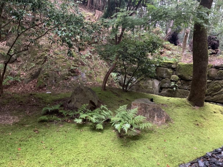 客室からの眺望