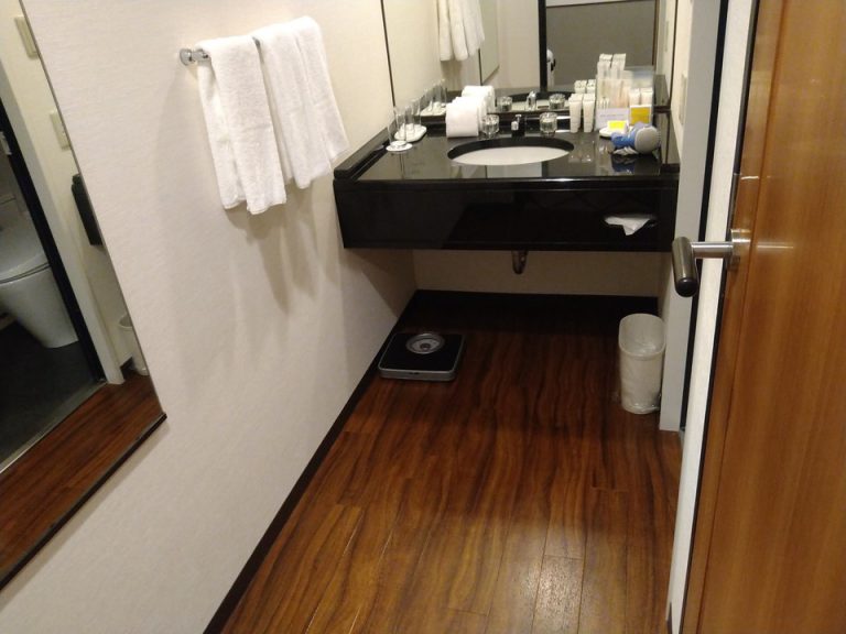 バスルーム入口から全景