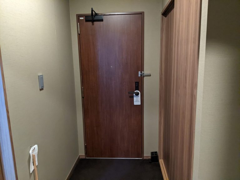 客室入口内観ドア (3)