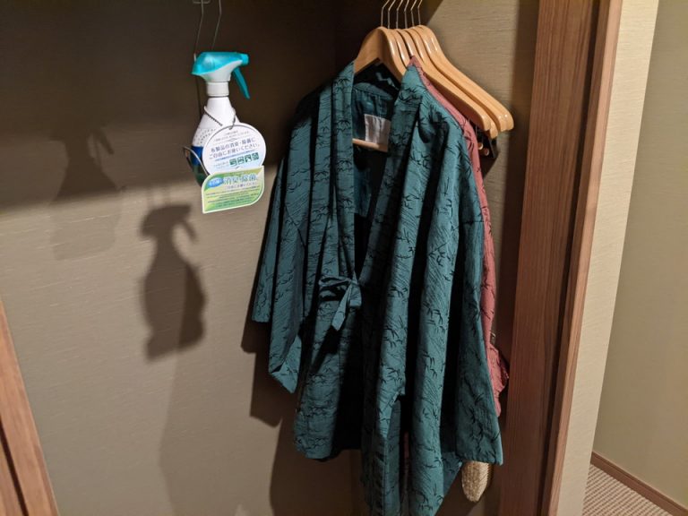 クローゼット外観(開けた状態) (3)