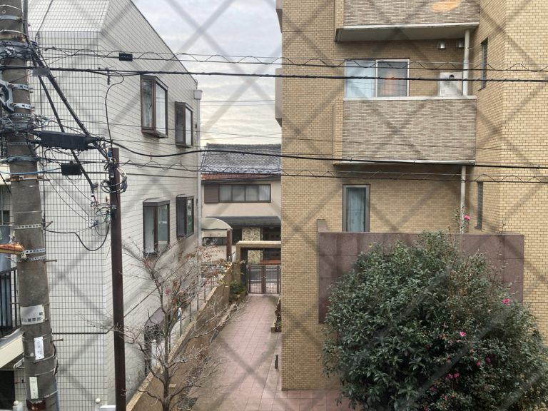 客室からの眺望