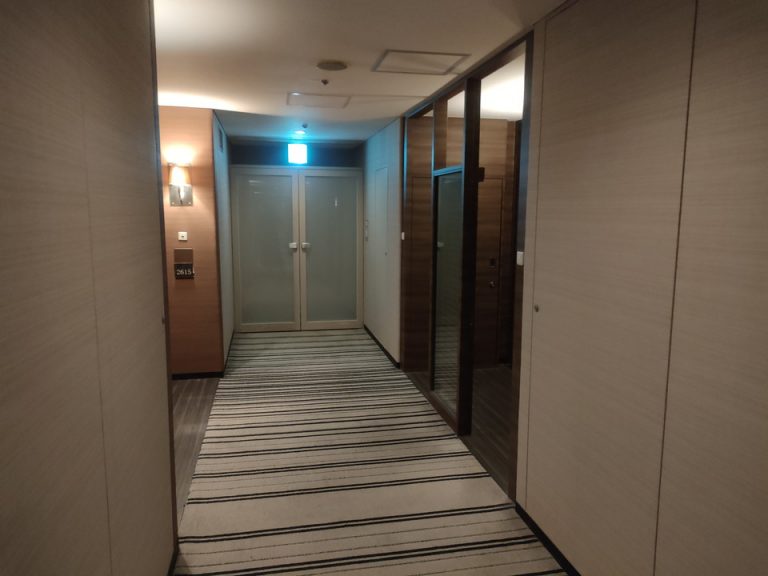 廊下(客室付近)