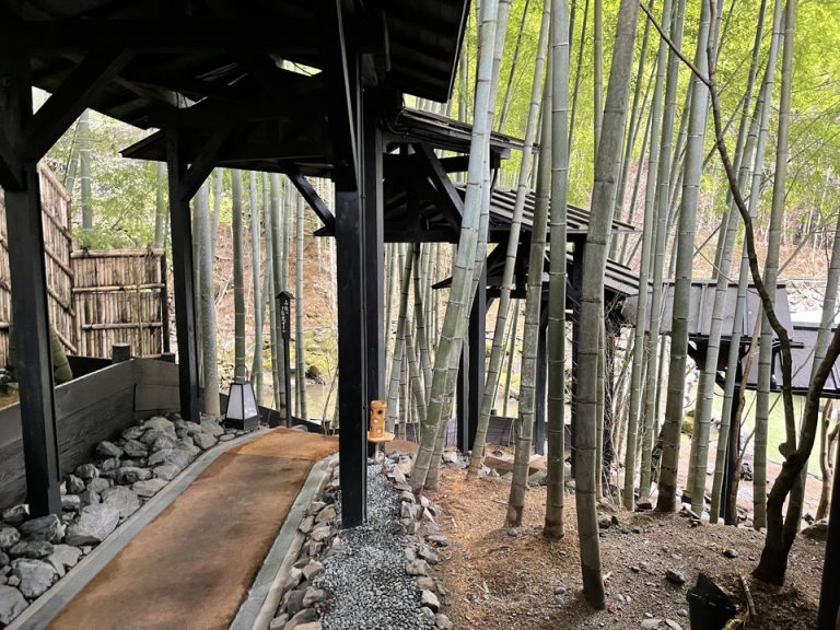 客室入り口付近廊下(1)