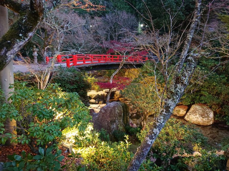 ライトアップされた庭園