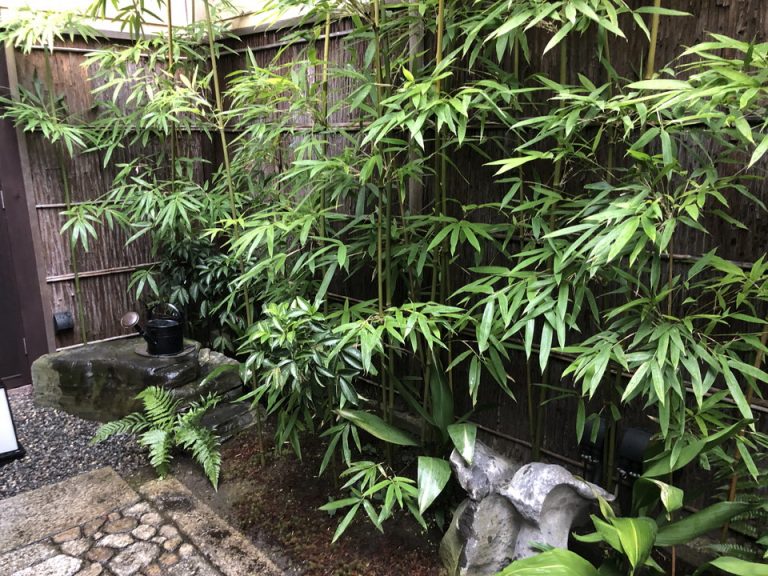 エントランス内観2