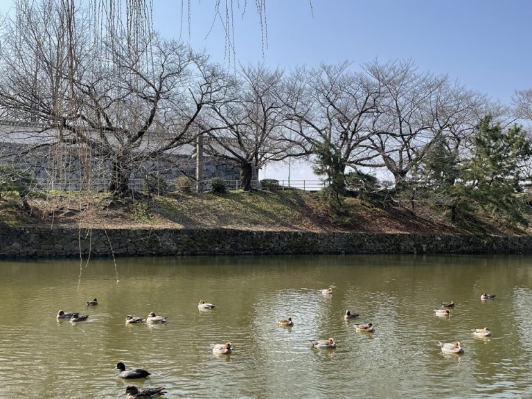大濠公園