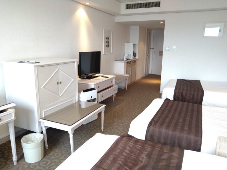 客室全体(入口方向)