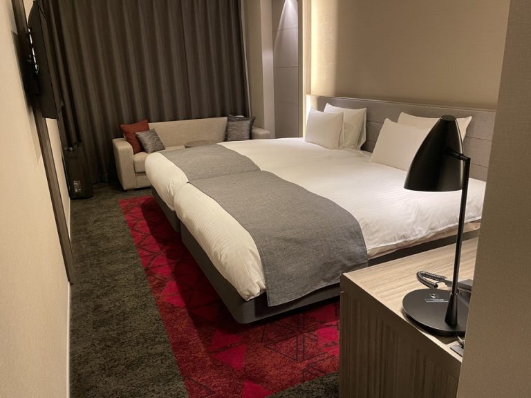 客室 入口から全体