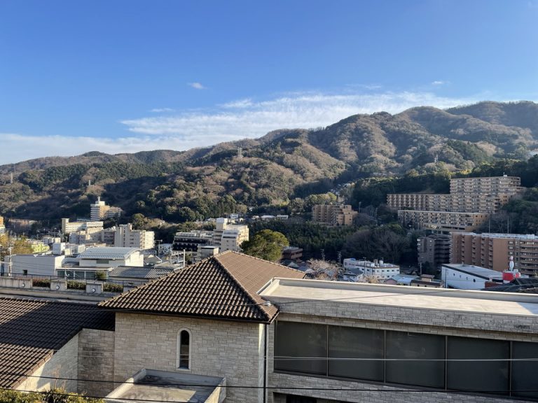 客室からの眺望