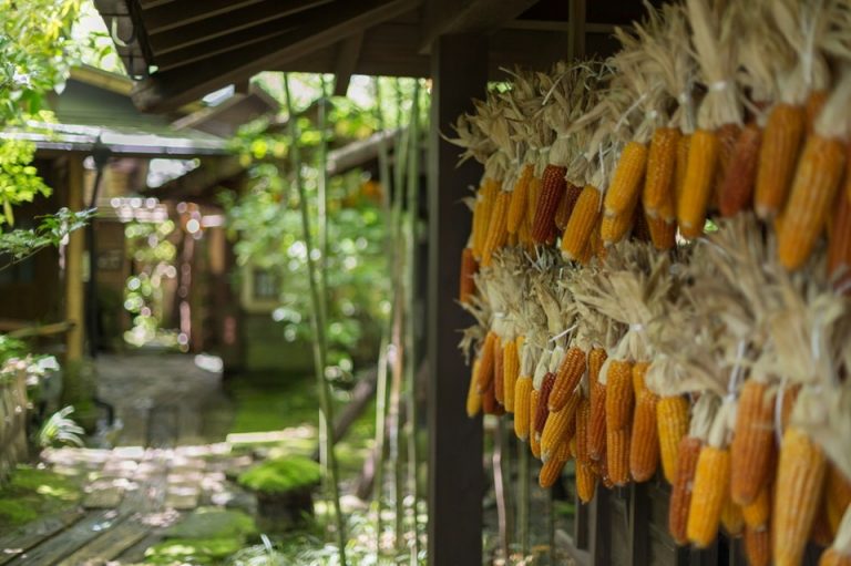 02ee7a363394d5a51f54d88a25b6ac5fa2581858.47.1.26.2